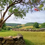 La Grenouille Amoureuse Bed & Breakfast 3*