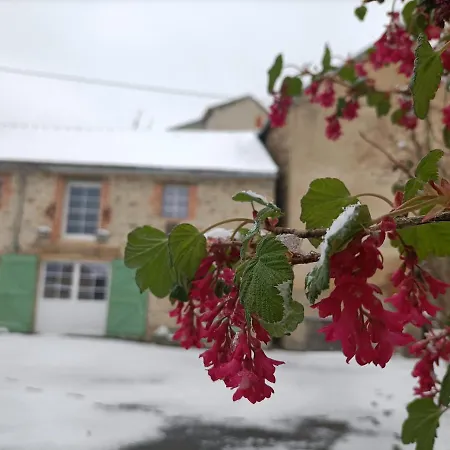 La Grenouille Amoureuse