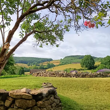 La Grenouille Amoureuse Отель типа 