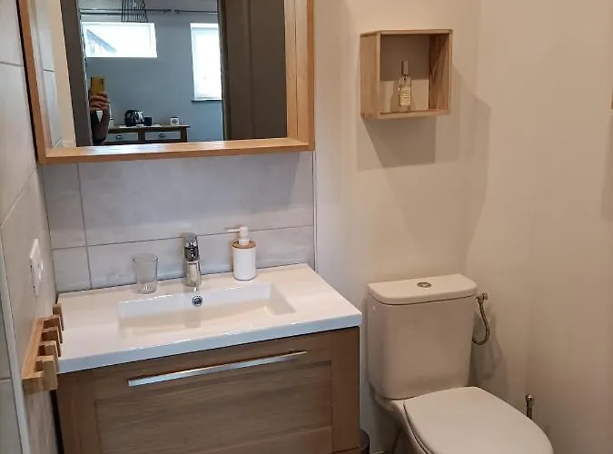 La Grenouille Amoureuse Bed & Breakfast Menat