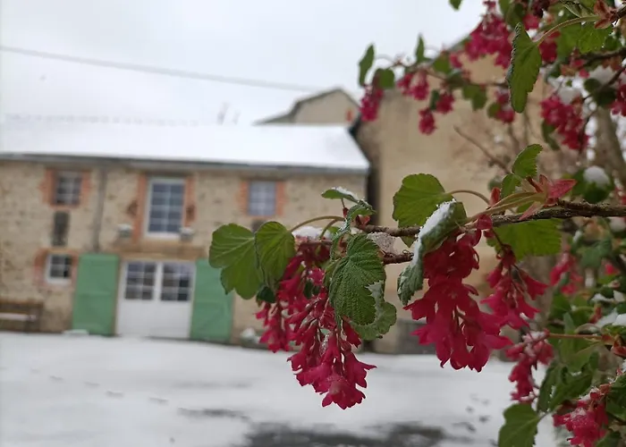 La Grenouille Amoureuse