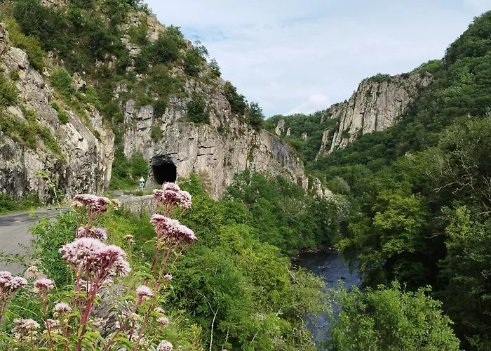 La Grenouille Amoureuse Menat